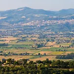 Il Cicaleto *