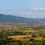 Il Cicaleto *