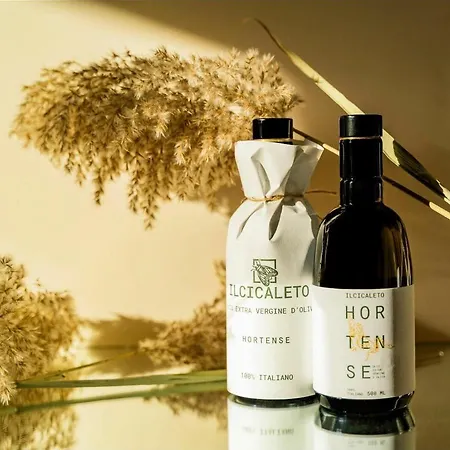 Agroturismo Il Cicaleto