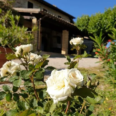 Il Cicaleto Cannara