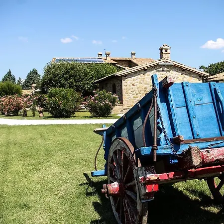 Il Cicaleto