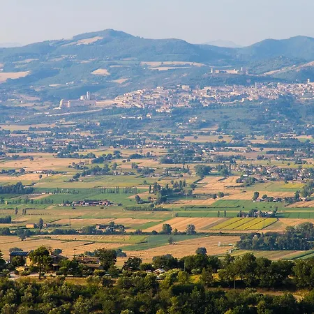Il Cicaleto *