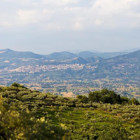 Agroturismo Il Cicaleto