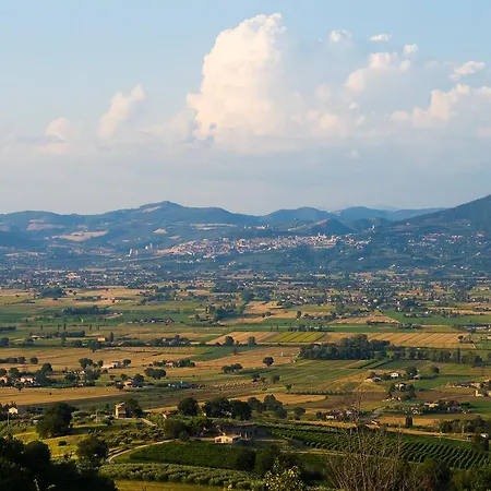 Il Cicaleto