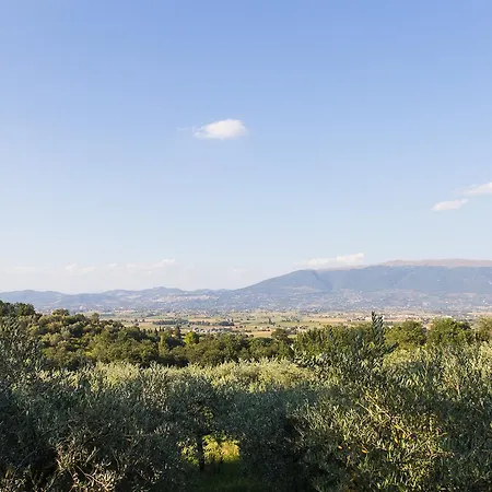 Agroturismo Il Cicaleto